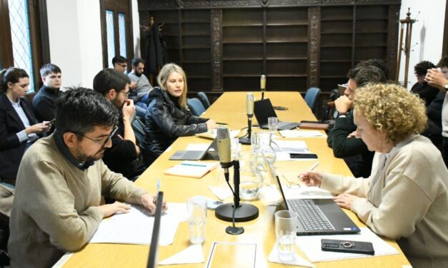Concejo Deliberante de Rosario: Trabajo en comisiones
