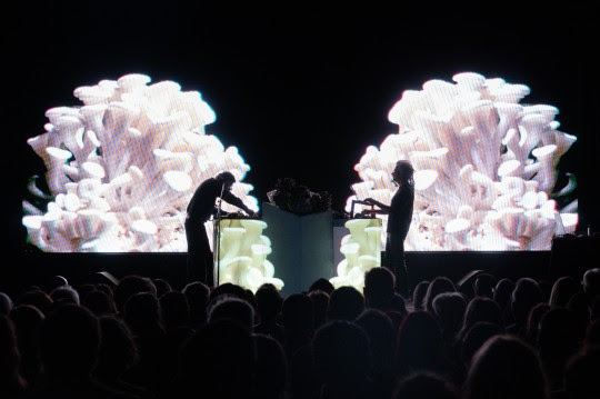 Biópera 3D: una propuesta inmersiva que combina arte sonoro, interactivo y live cinema llega al fulldome del CAM