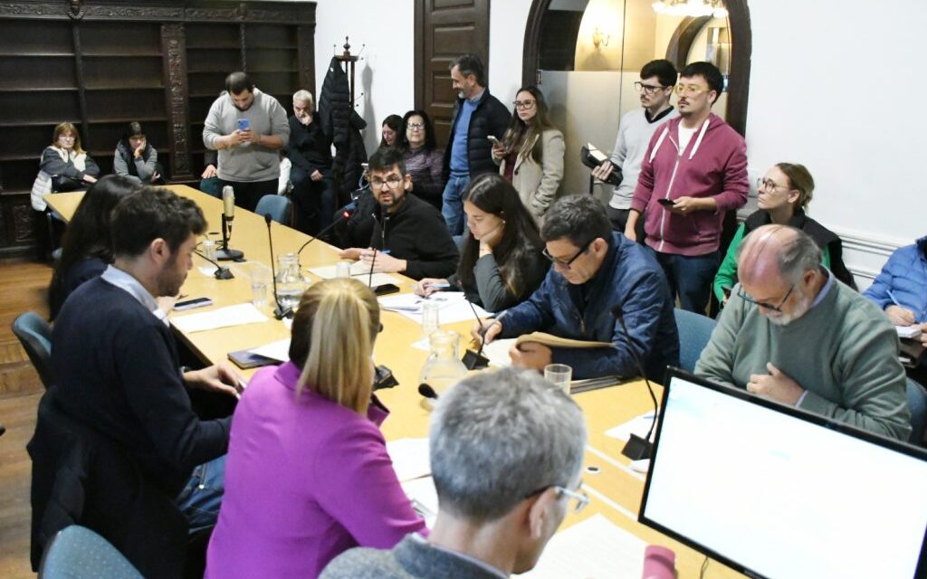Despacho para diversas regularizaciones
