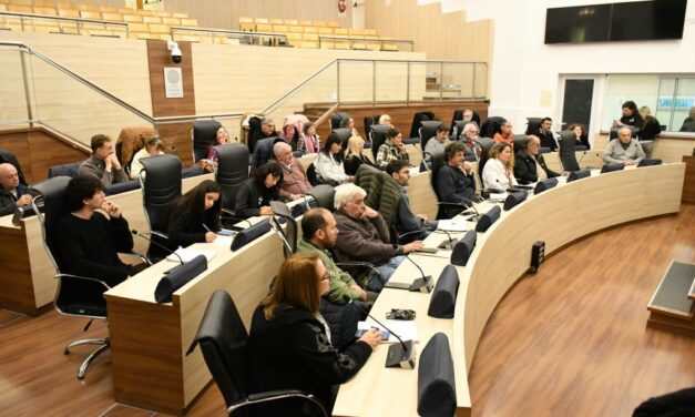 Consejo Asesor de la comisión de Ecología y Ambiente