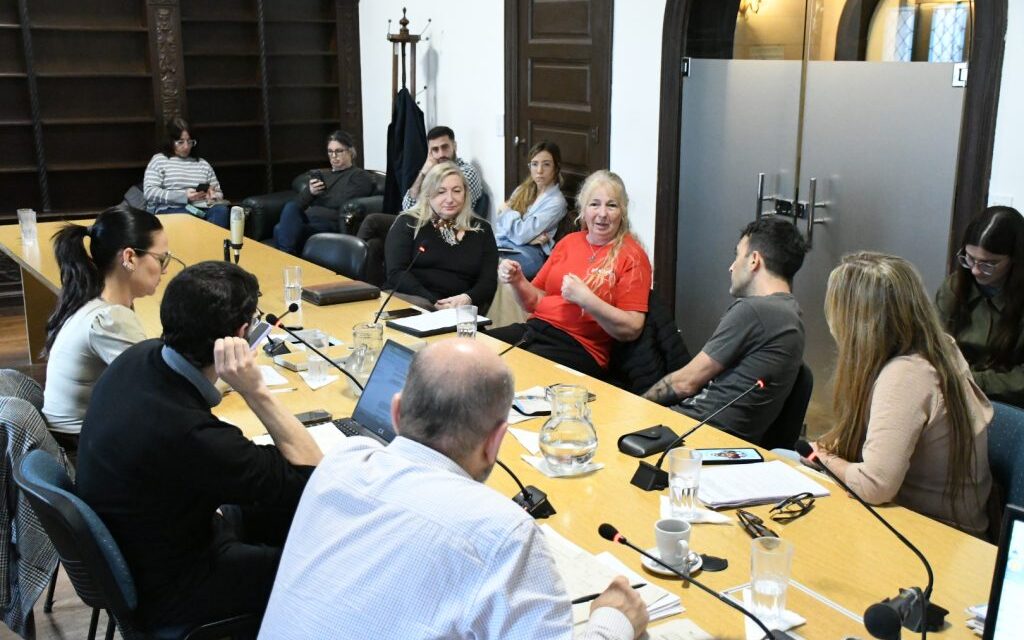 Audiencia con la organización Sentidos