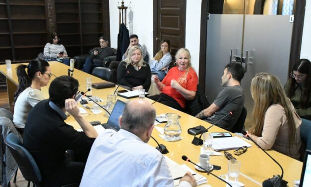 Audiencia con la organización Sentidos