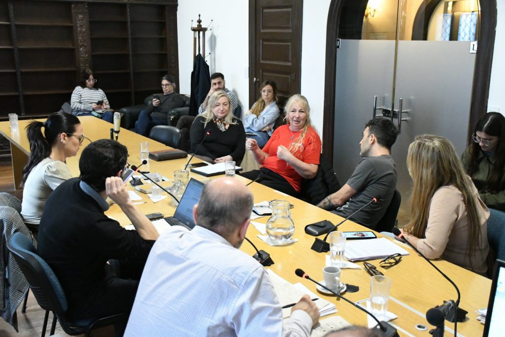 Audiencia con la organización Sentidos