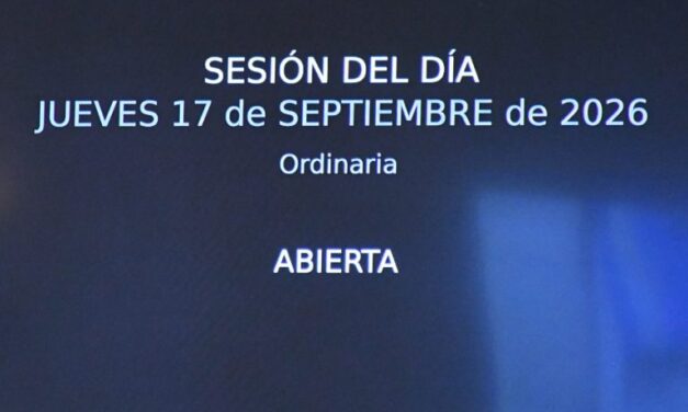 En sesión el Concejo trató y aprobó 186 expedientes