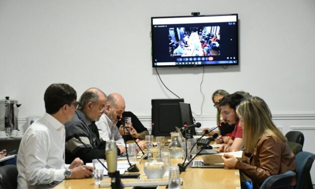 Prevención climática, salud animal y recuperación de espacios públicos