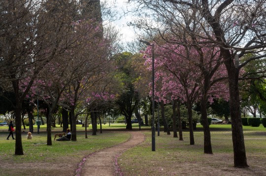 El municipio invita a vecinas y vecinos a participar de un recorrido especial por el Parque Urquiza