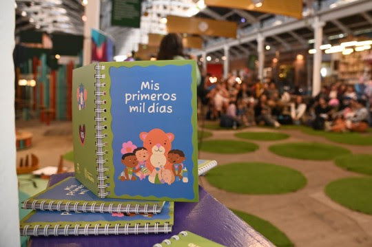 Presentaron el libro «Mis primeros mil días» que se distribuirá en todas las maternidades de la ciudad
