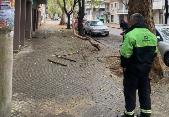 Tormentas en Rosario: se registraron 34 incidencias y el municipio continúa con operativos preventivos