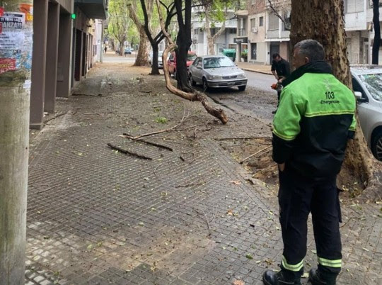 Tormentas en Rosario: se registraron 34 incidencias y el municipio continúa con operativos preventivos