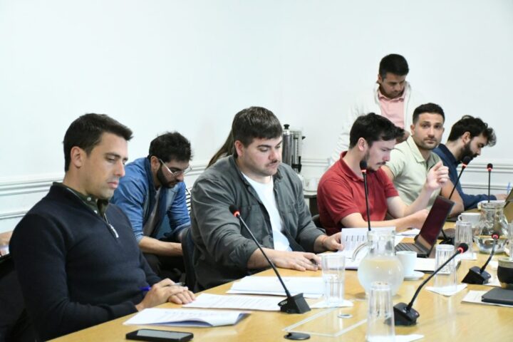 Cuidacoches: primeros lineamientos en comisión